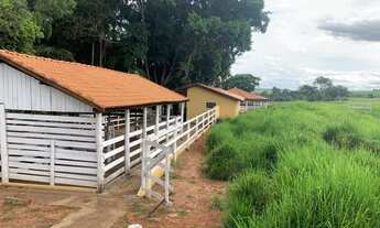 Imagem 2: Lindo Haras Região de Bauru sp