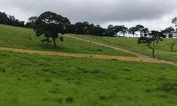 Imagem 3: Lote/Terreno para venda com 500 metros quadrados em nazare paulista