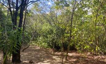 Imagem 5: Sitio 4.200m² com piscina, água corrente nos fundos, espaço gourmet Jaboticatubas