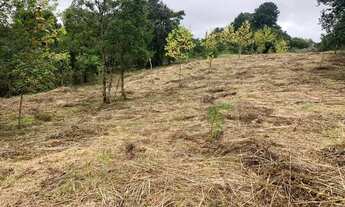 Imagem 7: Chacara 5mil metros quadrados - Próximo a Volkswagen