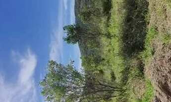 Imagem 3: Oportunidade Chácara em Moeda MG a 68 km de BH