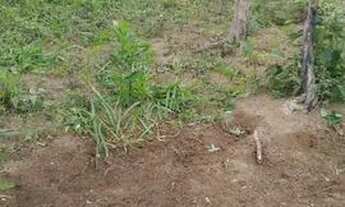 Imagem 6: Vendo Lote Terreno / lote com venda por R$60.000