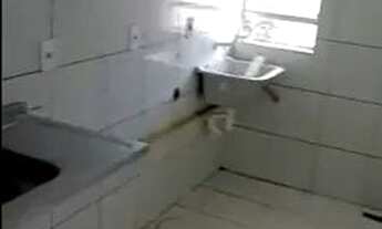 Imagem 4: Apartamento Flamboyant