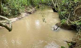 Imagem 5: Chácara muito barata a 70 km de Goiânia em cromínia com riacho