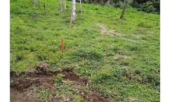 Imagem 3: Sitio loteado no Rio Rufino