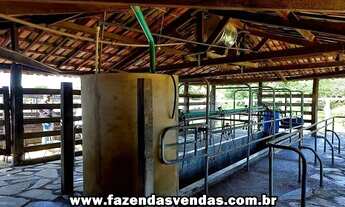Imagem 2: Fazenda 25,5 alqueires em Corumbá de Goiás próximo a Alexânia GO