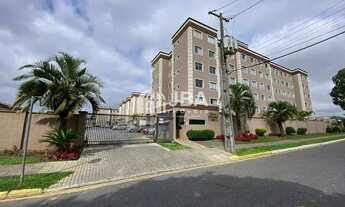 Imagem 2: CURITIBA - Padrão - Hauer