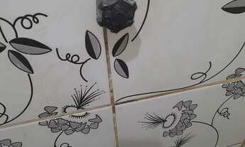 Imagem: Apartamento pra alugar