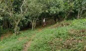 Imagem 4: MA Fazenda/Sítio/Chácara para venda em Ibirataia