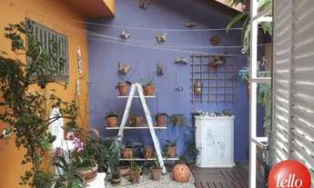 Imagem 7: São Paulo - Casa Padrão - Mandaqui