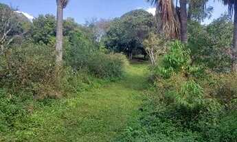 Imagem 6: CHÁCARA DE 8 MIL METROS EM PONTE ALTA - GAMA-DF