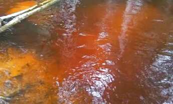 Imagem 3: Vende sítio na estrada novo Airão km 33