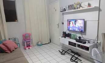 Imagem 3: Vendo Apt primeiro dono