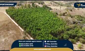 Imagem 5: Chácara 3,5 alqueires - Poponzal de Baixo