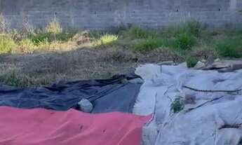 Imagem 2: Lote/Terreno para venda tem 500 metros quadrados em Vila Urupês - Suzano - SP