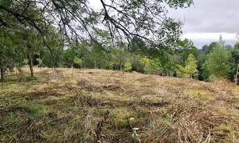 Imagem 6: Chacara 5mil metros quadrados - Próximo a Volkswagen