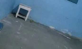 Imagem 3: Alugo casa 400,00 tudo incluso