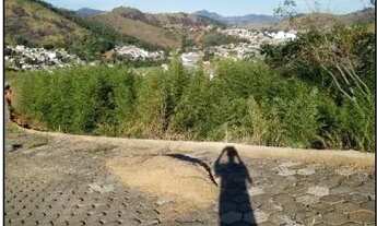 Imagem 2: CARANGOLA - Terreno Padrão