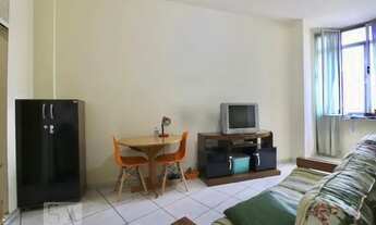 Imagem 3: Apartamento para Aluguel - Santa Cecília, 1 Quarto, 41 m2