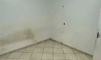 Imagem 6: Alugo apartamento