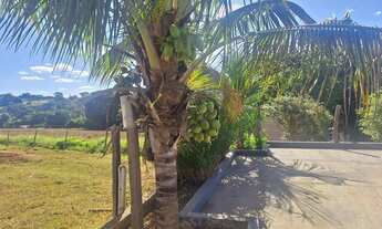 Imagem 7: Chacarra em Goianapolis