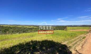 Imagem 4: Fazenda em Pires do Rio - GO. 115 Alqueires