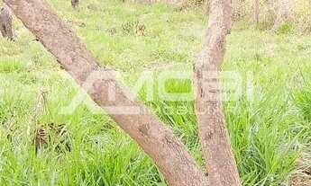 Imagem 3: Terreno à venda, 250 m² por R$ 82.000 .00- Jarinu - Jarinu/SP