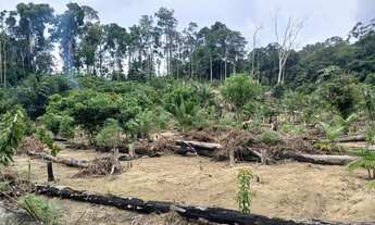 Imagem 3: Vendo terreno KM 85 BR174