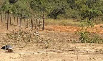 Imagem 3: Chácara com 48.400 m² (1) ALQUEIRE - Zona Rural - São Miguel do Passa Quatro/GO