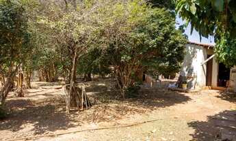 Imagem 6: Chácara a VENDA!