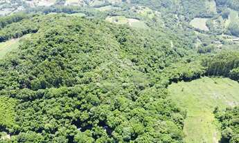 Imagem 2: Área de terra com potencial de vista à venda em Picada Café na Serra Gaúcha