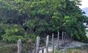 Imagem 3: Terrenos, Casas e Comerciais na(Doce Lagoa do Paraíso): De 1.250m² a 6ha com Beleza Natu