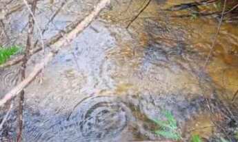 Imagem 5: Cinco mil metros por 100 mil - Área total de quase 52 mil mts escriturada e topográfica