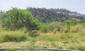 Imagem 2: TERRENO - JARDIM JUREMA - SP