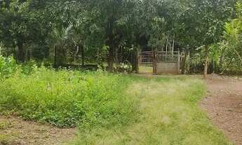 Imagem 7: Chácara com pomar, no Senador Canedo, 7 km do Parque Atheneu, Terreno 4.761,50 m²