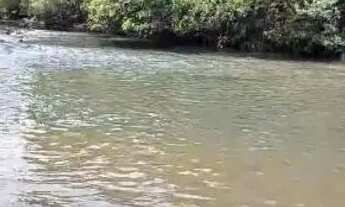 Imagem 6: VENDO RANCHO RIO SÃO TOMAZ EM RIO VERDE GO