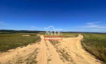 Imagem 7: Fazenda em Pires do Rio - GO. 115 Alqueires