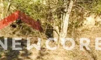 Imagem 6: Lote em Rua Calógero Rapé - Jardim São Jorge - Arujá/SP