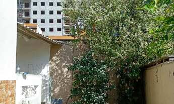 Imagem 4: ALUGO CASA DE VILA, COM PITANGUEIRA