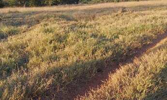 Imagem 4: Fazenda no prata 3 milhões