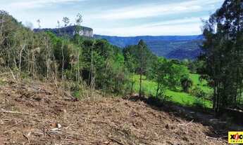 Imagem: Sítio / Chácara para Venda em Nova Petrópolis