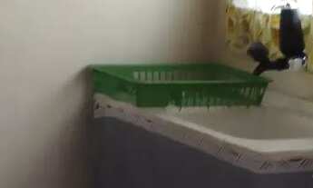 Imagem: Kitnet em Marechal Hermes