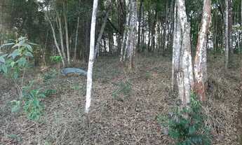 Imagem 3: Lote em Macacos, condomínio Ecoville 2