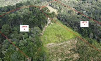 Imagem 5: Área 20.003m² Campo Largo, Bateias, doc 100%, lavoura, bosque, rio