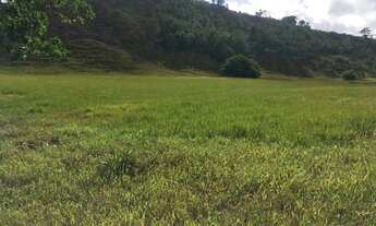 Imagem 5: Fazenda no Riacho da Guia Alagoinhas