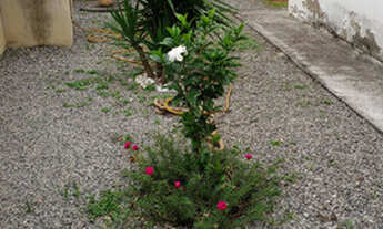 Imagem 5: Casa salão e 4 quartos em condominio na Reserva verde em Itaipuaçu/ Marica