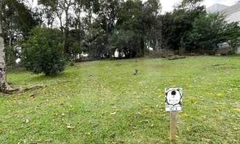 Imagem 2: SãO LEOPOLDO - Terreno Padrão - Santo André