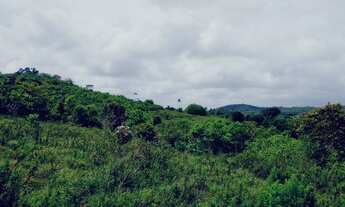 Imagem 3: Fazenda Fazenda / sítio com venda por R$1.350.000