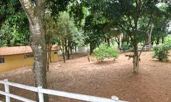 Imagem 3: Lindo Haras Região de Bauru sp