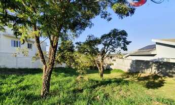 Imagem: Terreno em declive leve com 1.000m² à